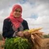 2026 سنة دولية للمرأة المزارعة… والمغرب أمام استحقاق إنصاف نسائه في الحقول